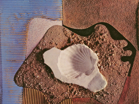 Coquille-plage, 1939